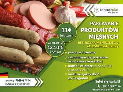 PRACOWNIK PRODUKCJI (K/M) - RÓWNIEŻ GRUPY I PARY - NIEMCY