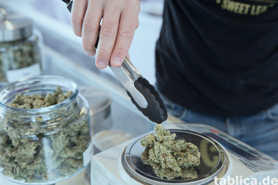 Kup/Zamów Wszystkie konopie z THC, Wszystkie zioła z THC