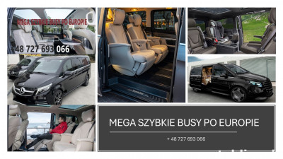 Busy Francja Polska Holandia Belgia Hiszpania Niemcy Włochy