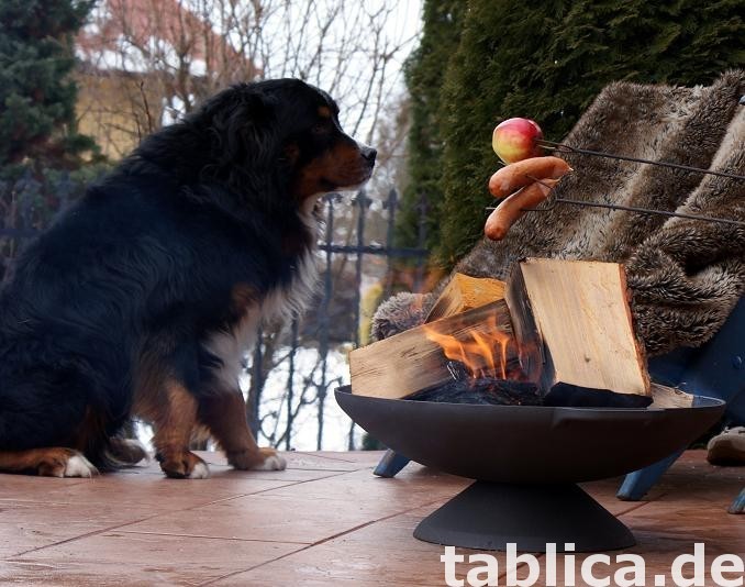 PALENISKO OGRODOWE ŻELIWNE GRILL OGNISKO 5