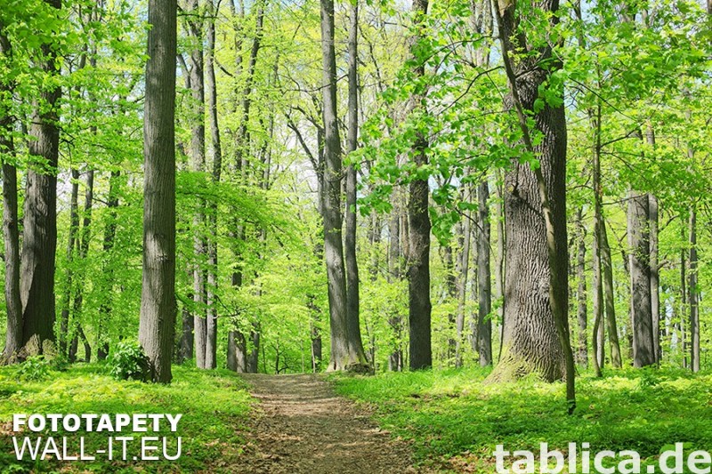 Fototapety na wymiar, papierowe, fizelinowe, na wymiar. 2