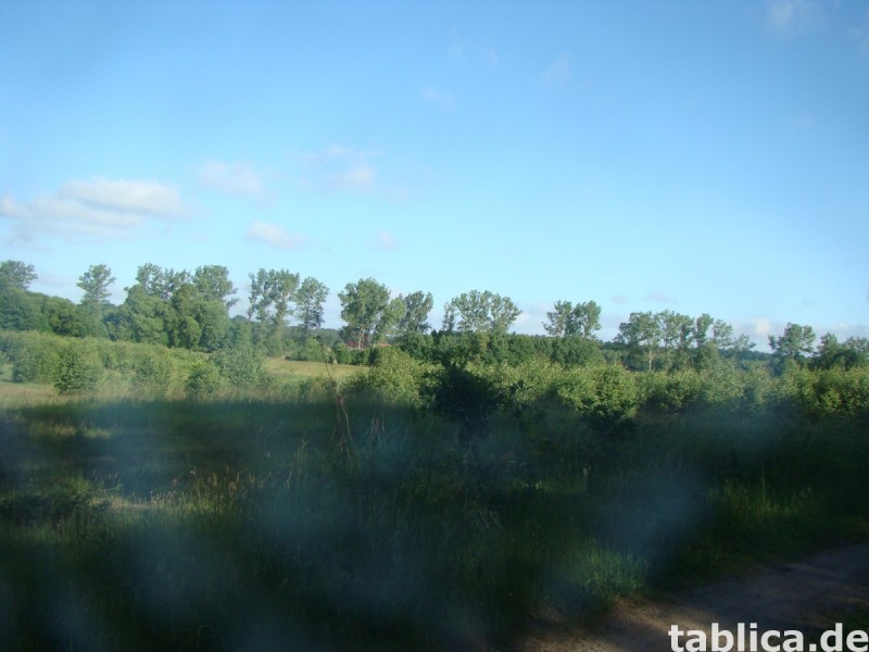Osina, Goleniów, Nowogard, Szczecin Działka ekologiczna 1