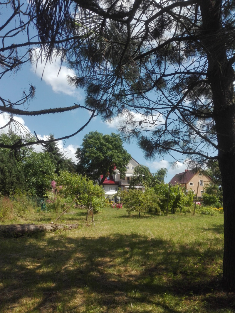 Sprzedam 18