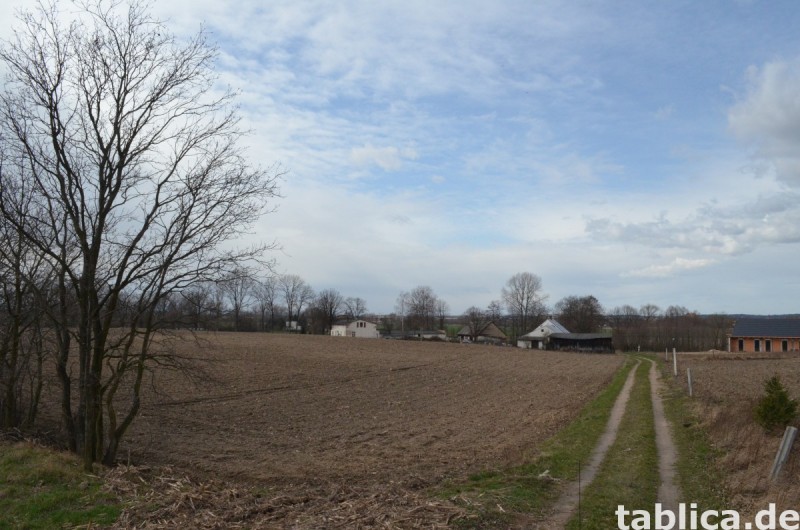 Rusza od 15 X sprzedaż działek budowlanych 1 km od Nysy 1