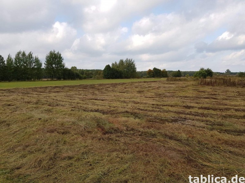 Mazury- kompleks czterech dzialek z warunkami zabudowy. 1