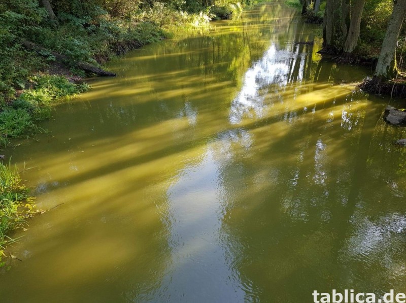 Mazury- Cztery dzialki z warunkami zabudowy. 4