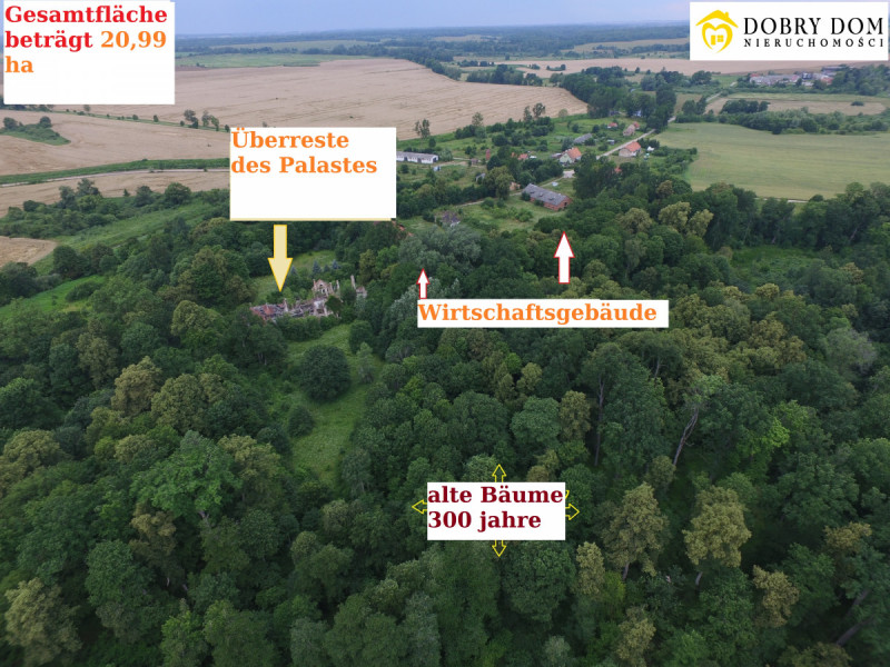 ***Palast Farenheidów in Mieduniszki Wielkie (Polen) !!!*** 1