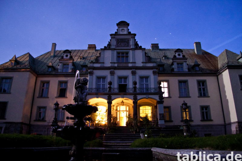 Pałac Frączków/Zespół Pałacowo Parkowy 2