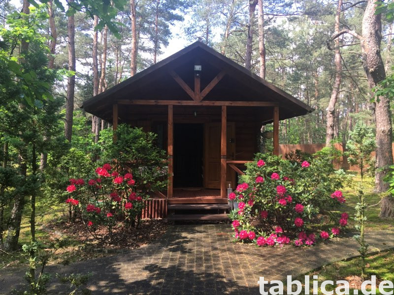 Posiadłość leśna działka 5400 m2 3