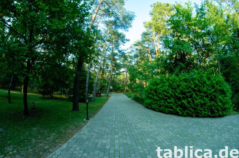 Posiadłość leśna działka 5400 m2 4