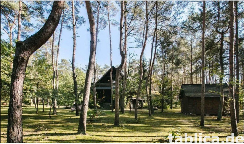 Posiadłość leśna działka 5400 m2 5