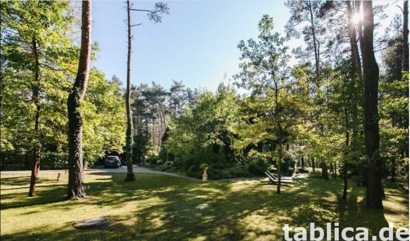 Posiadłość leśna działka 5400 m2 16