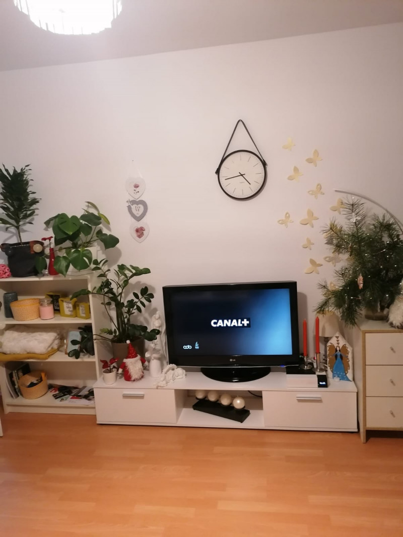 Współlokatorka do kawalerki w Berlinie 1