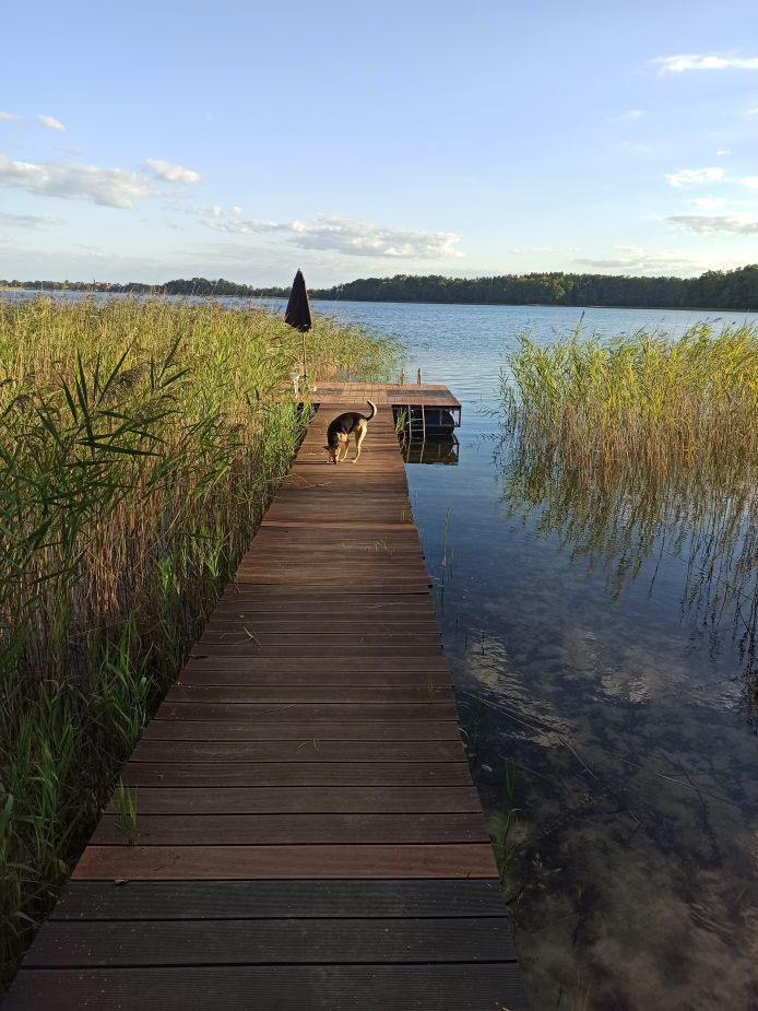 2 Domy - Na jednej posesji. W Ińskim Parku Krajobrazowym. 16
