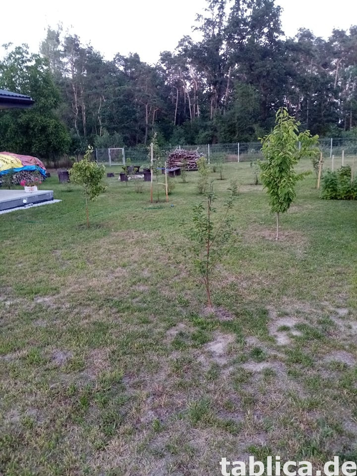 Działka nad Jeziorem Strykowskim 2272 m na sprzedaż 1