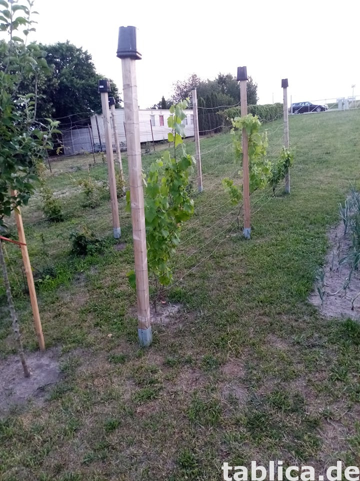 Działka nad Jeziorem Strykowskim 2272 m na sprzedaż 2