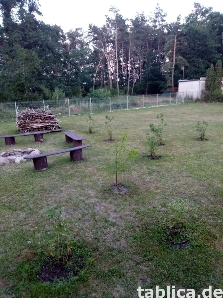 Działka nad Jeziorem Strykowskim 2272 m na sprzedaż 4