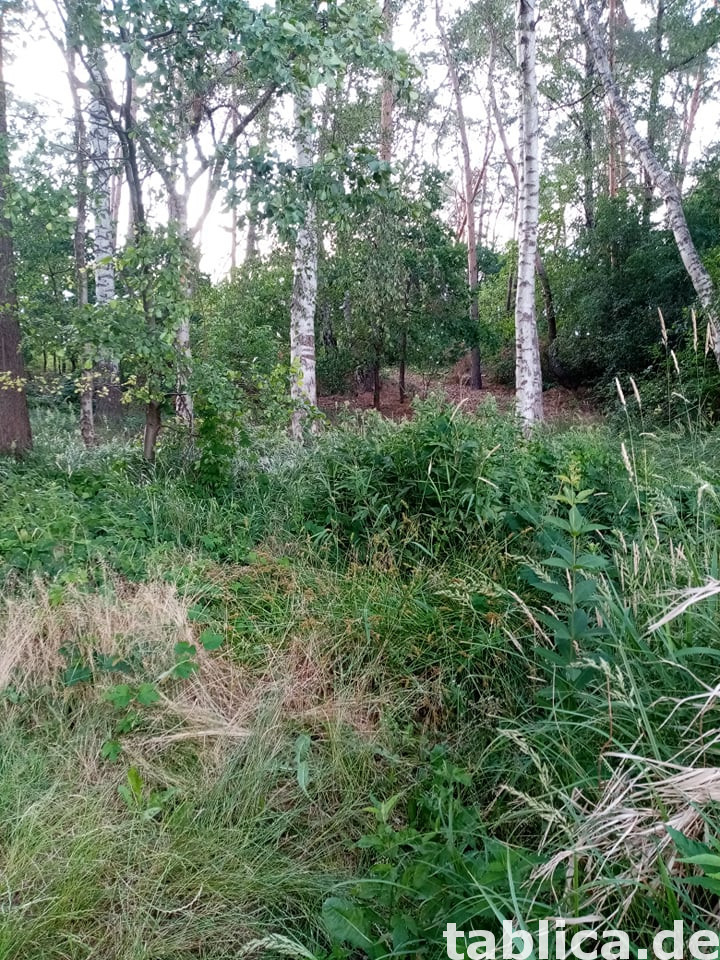 Działka nad Jeziorem Strykowskim 2272 m na sprzedaż 7