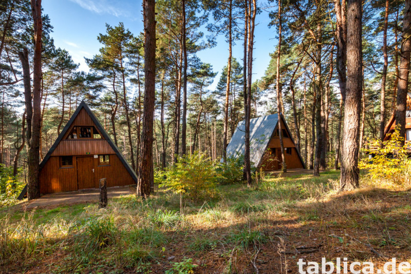 Unique property in Poland 16