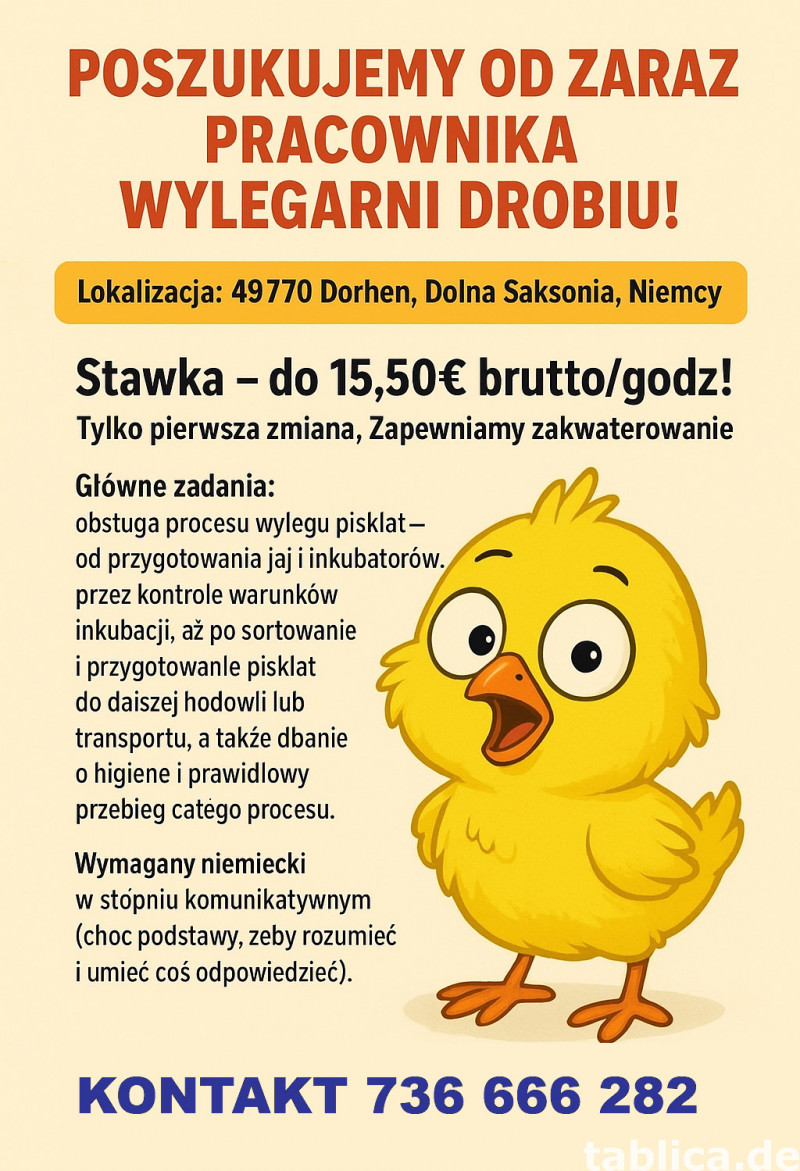 Pracownik wylęgarni drobiu w Niemczech-15,00€ brutto/godz. 0
