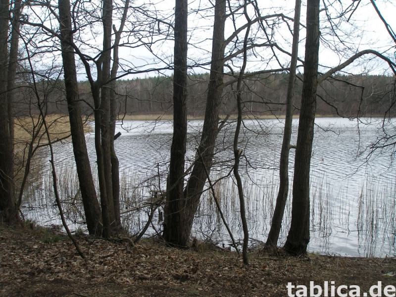 Działka rekreacyjna  nad jeziorem 0