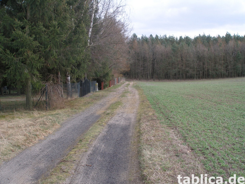 Działka rekreacyjna  nad jeziorem 1