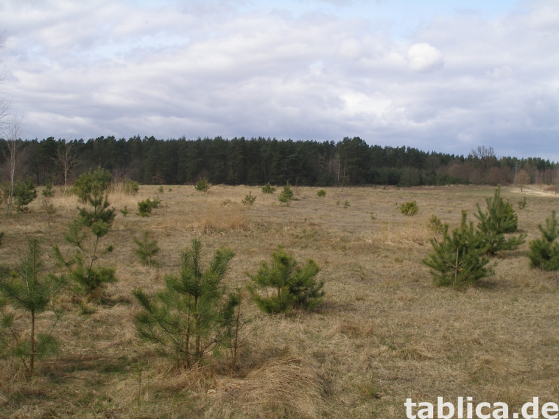 Działka rekreacyjna  nad jeziorem 2