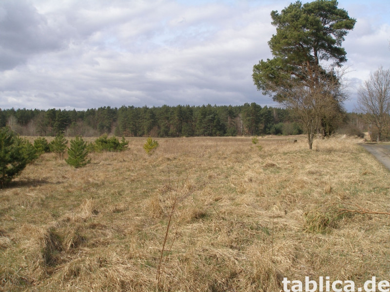 Działka rekreacyjna  nad jeziorem 3