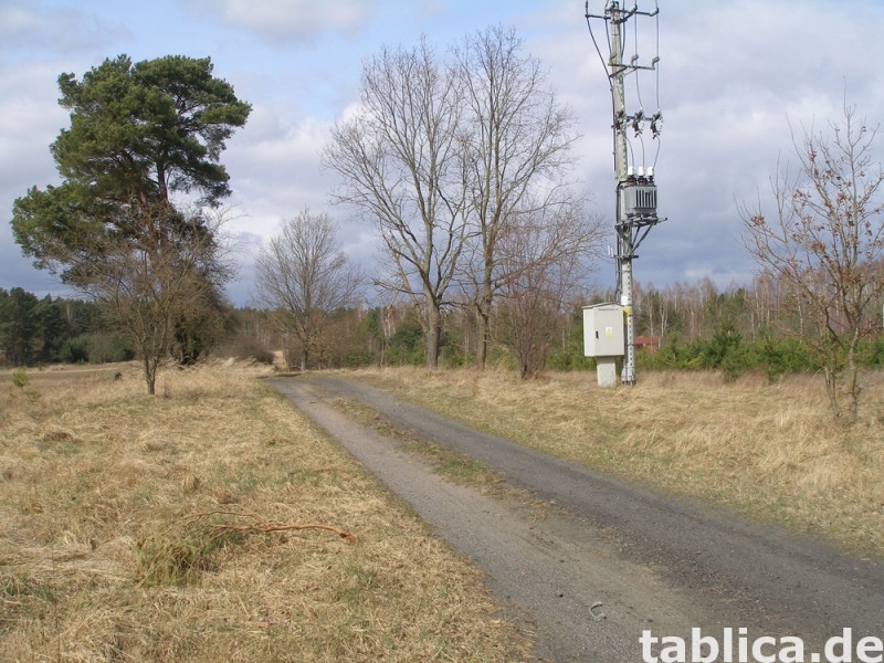 Działka rekreacyjna  nad jeziorem 4