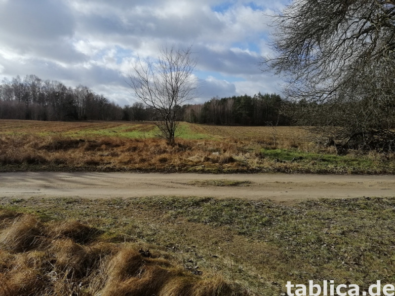 Działka rekreacyjna  nad jeziorem 5