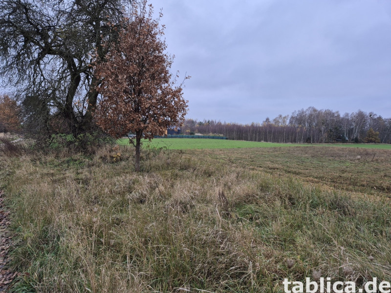 Działka rekreacyjna  nad jeziorem 7