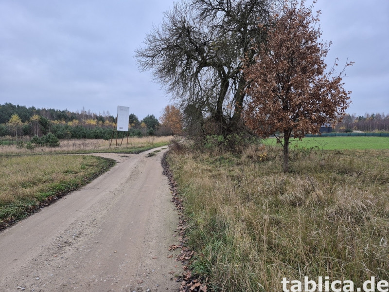 Działka rekreacyjna  nad jeziorem 8