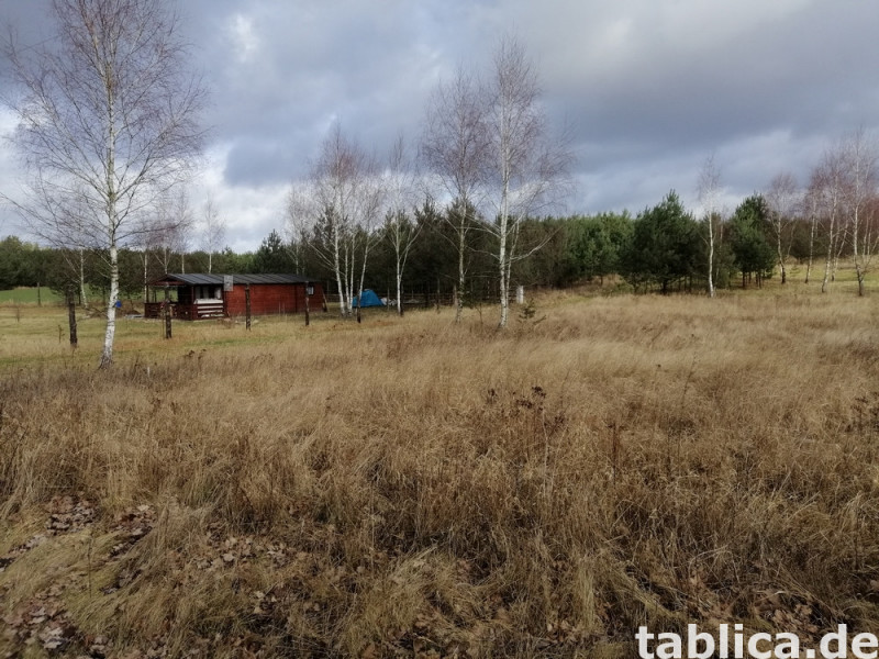 Działka rekreacyjna  nad jeziorem 9