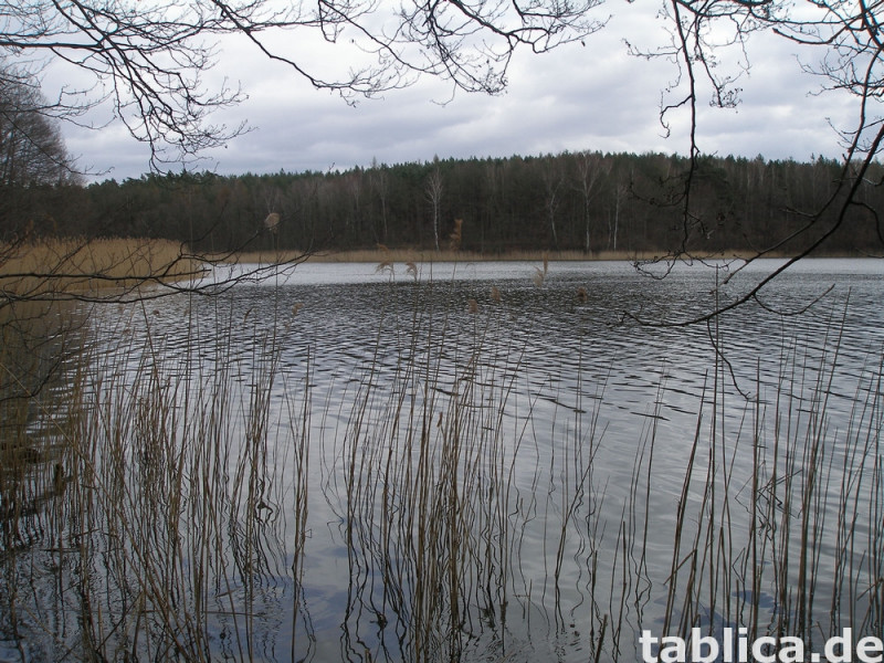Działka rekreacyjna  nad jeziorem 11