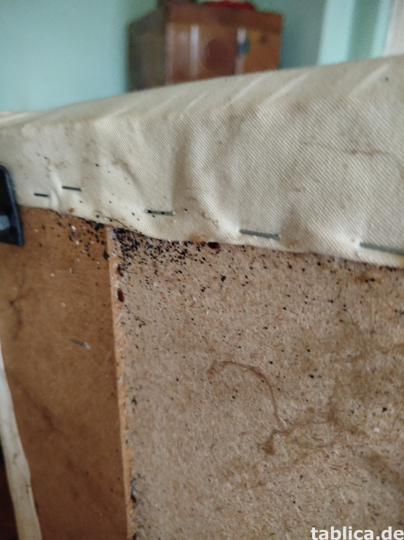 Odpluskwianie, likwidacja pluskiew, dezynsekcja,pest control 7