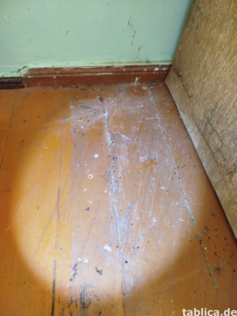 Odpluskwianie, likwidacja pluskiew, dezynsekcja,pest control 9