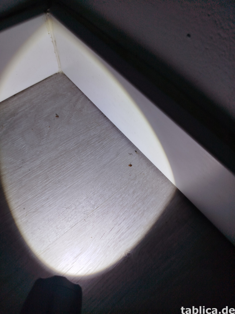 Odpluskwianie, likwidacja pluskiew, dezynsekcja,pest control 10