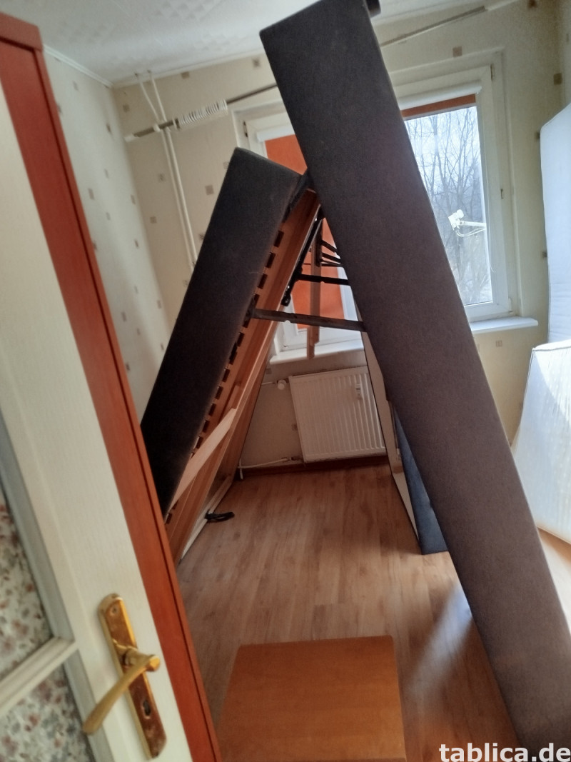 Odpluskwianie, likwidacja pluskiew, dezynsekcja,pest control 12