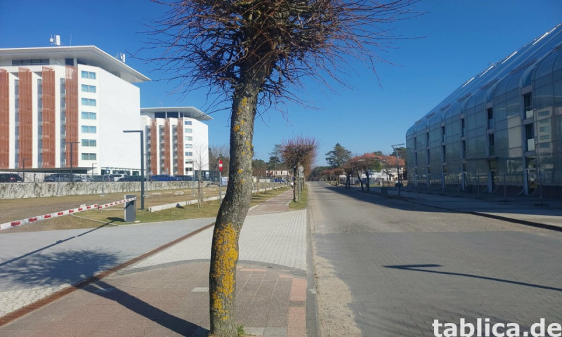 Pinea Resort: Penthouse-Luxus in der ersten Meereslinie 16