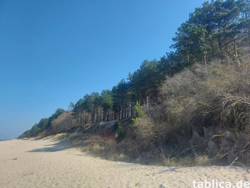 Pinea Resort: Penthouse-Luxus in der ersten Meereslinie 18