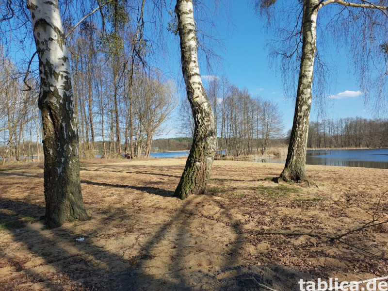 Traumhaus mit Seeblick: Doppelhaushälfte direkt am Łowyńskie 17