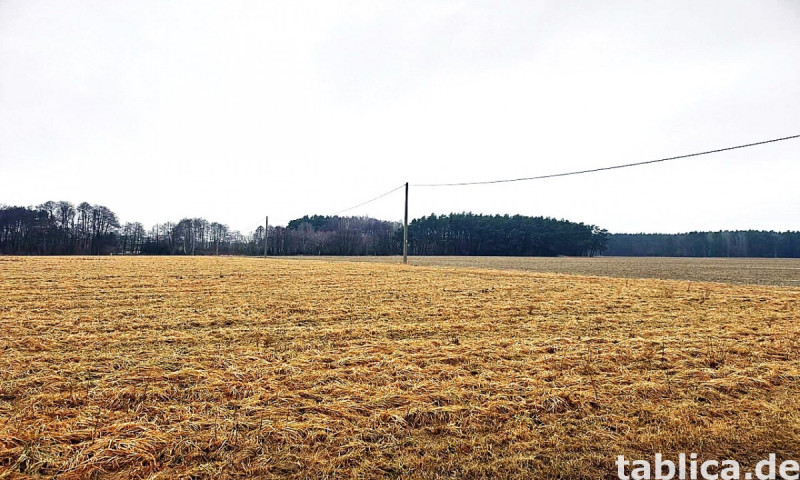 0 € Strom & eigene Werkstatt: Autarkes Haus nahe DE-Grenze! 6