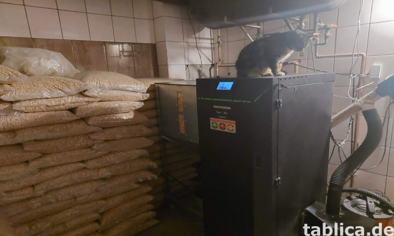 0 € Strom & eigene Werkstatt: Autarkes Haus nahe DE-Grenze! 28