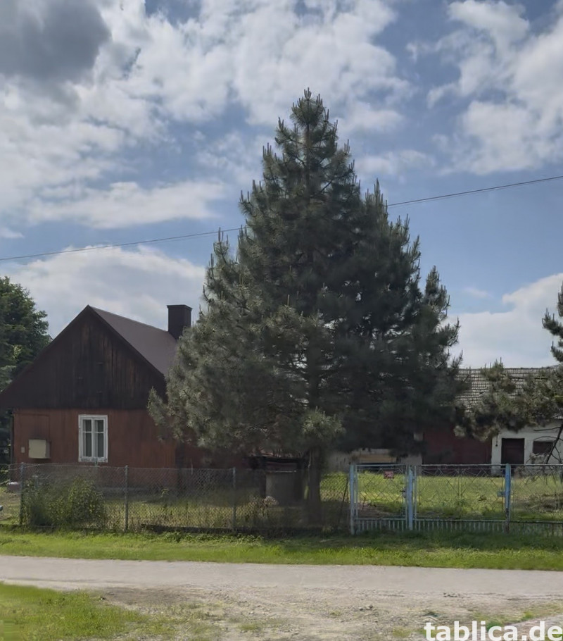 Dwie dzialki 39 arow -Sieciechowice 22 0